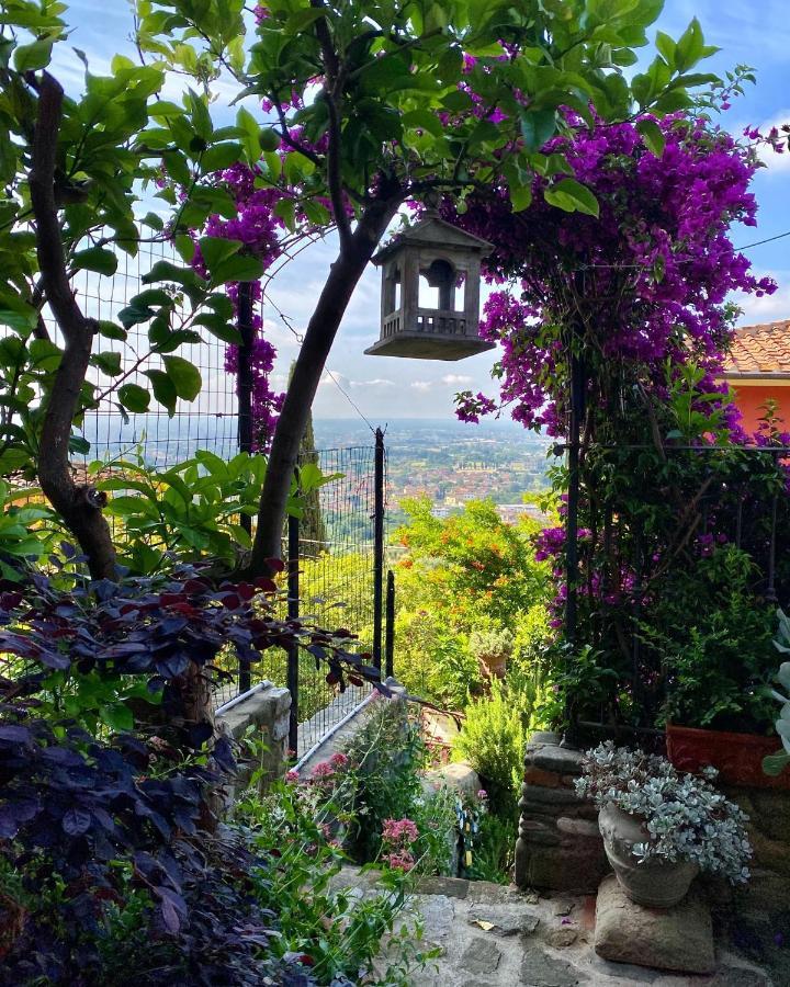 La Magione Dei Todaro Borgo a Buggiano Dış mekan fotoğraf